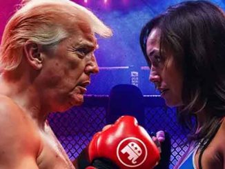 Donald Trump and Kamala Harris facing each other for a boxing match